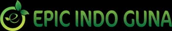 CV EPIC Indo Guna Logo